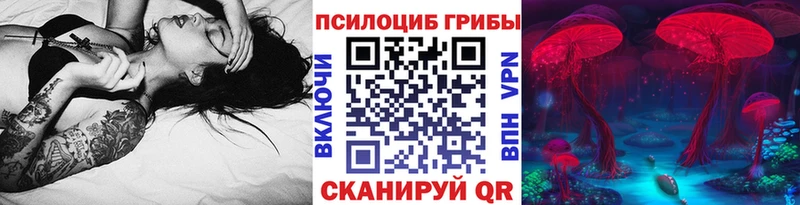 Галлюциногенные грибы Psilocybe  Снежинск 